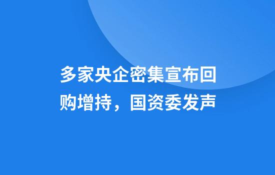 多家央企密集宣布回购增持,国资委发声