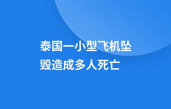 泰国一小型飞机坠毁造成多人死亡