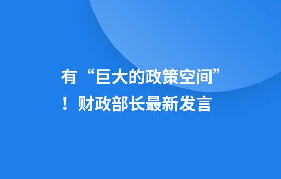 有“巨大的政策空间”！财政部长最新发言