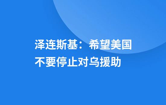 泽连斯基:希望美国不要停止对乌援助