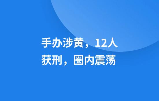 手办涉黄，12人获刑，圈内震荡
