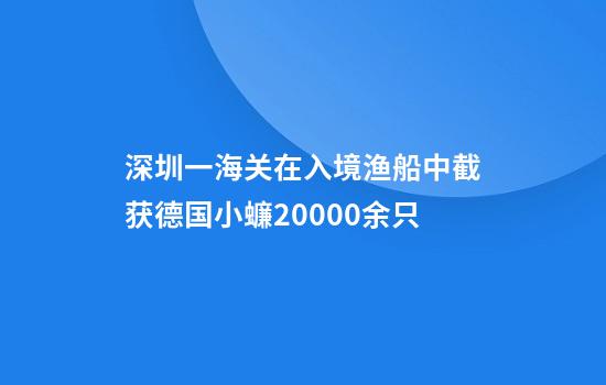 深圳一海关在入境渔船中截获德国小蠊20000余只