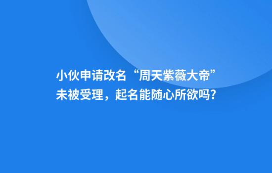 小伙申请改名“周天紫薇大帝”未被受理,起名能随心所欲吗?