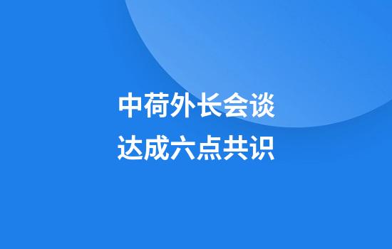 中荷外长会谈达成六点共识