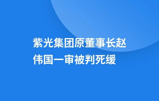 紫光集团原董事长赵伟国一审被判死缓