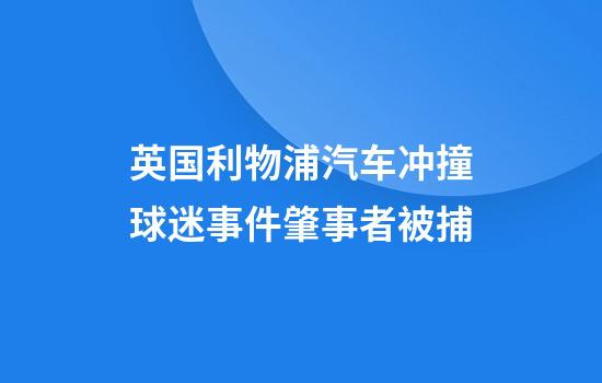英国利物浦汽车冲撞球迷事件肇事者被捕