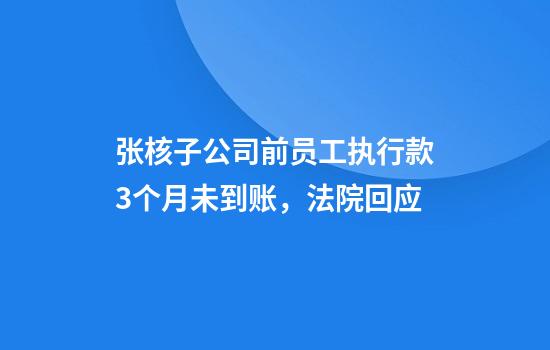 张核子公司前员工执行款3个月未到账，法院回应
