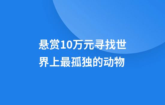 悬赏10万元寻找世界上最孤独的动物