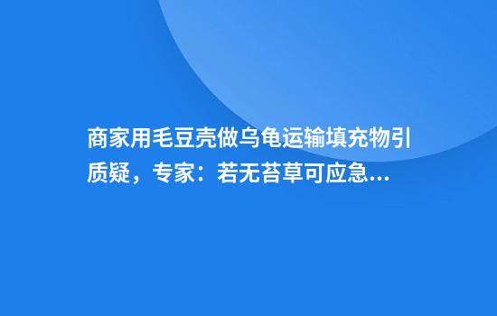 商家用毛豆壳做乌龟运输填充物引质疑，专家：若无苔草可应急使用，但不建议