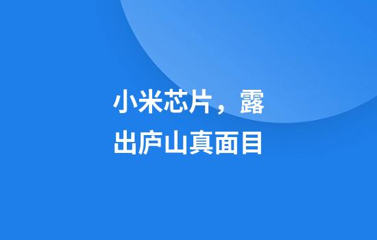 小米芯片，露出庐山真面目