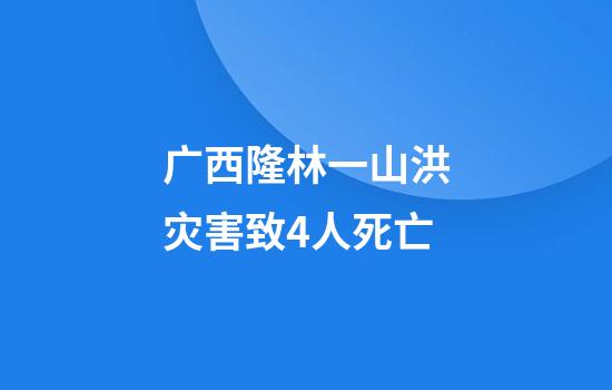 广西隆林一山洪灾害致4人死亡