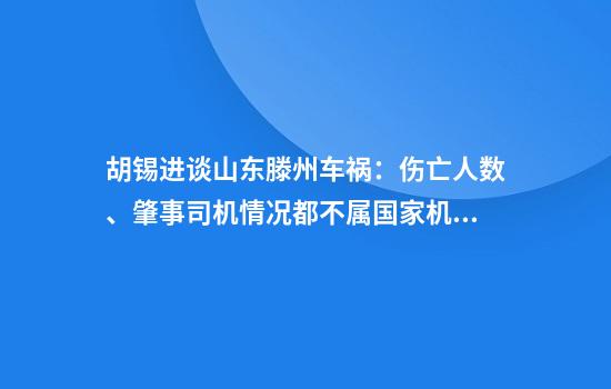 胡锡进谈山东滕州车祸：伤亡人数、肇事司机情况都不属国家机密，警方应及时公布