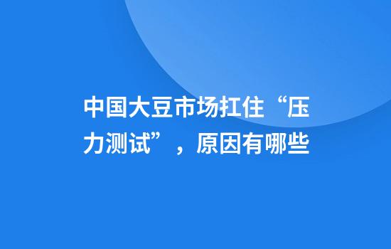 中国大豆市场扛住“压力测试”，原因有哪些
