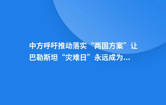 中方呼吁推动落实“两国方案”让巴勒斯坦“灾难日”永远成为历史