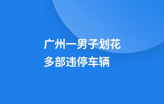 广州一男子划花多部违停车辆