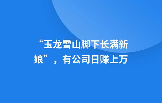 “玉龙雪山脚下长满新娘”，有公司日赚上万