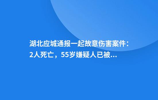 湖北应城通报一起故意伤害案件：2人死亡，55岁嫌疑人已被控制