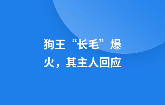 狗王“长毛”爆火，其主人回应