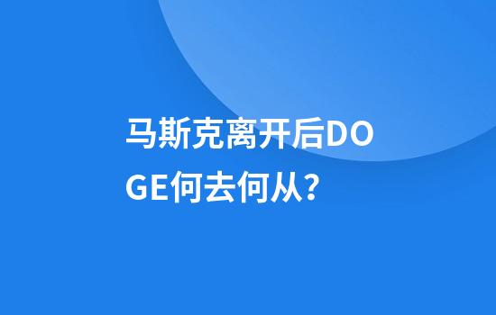 马斯克离开后DOGE何去何从？