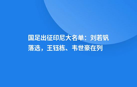 国足出征印尼大名单：刘若钒落选，王钰栋、韦世豪在列