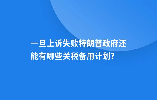 一旦上诉失败特朗普政府还能有哪些关税备用计划？