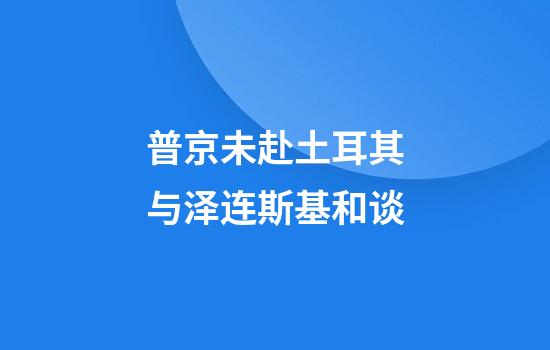 普京未赴土耳其与泽连斯基和谈