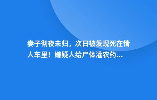 妻子彻夜未归，次日被发现死在情人车里！嫌疑人给尸体灌农药企图伪造自杀