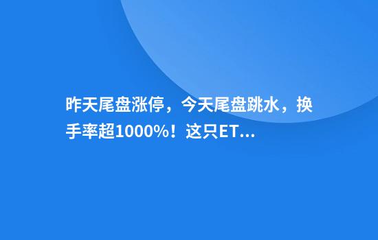 昨天尾盘涨停，今天尾盘跳水，换手率超1000%！这只ETF什么来头？