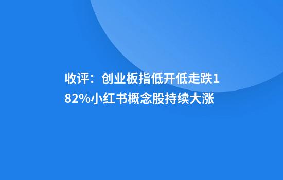 收评:创业板指低开低走跌1.82%小红书概念股持续大涨