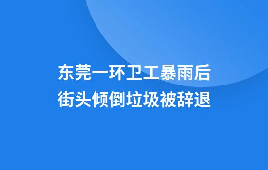 东莞一环卫工暴雨后街头倾倒垃圾被辞退