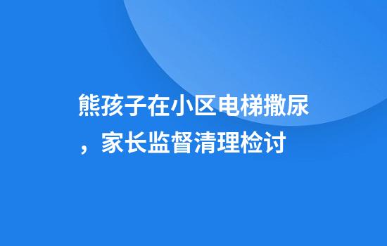 熊孩子在小区电梯撒尿，家长监督清理检讨