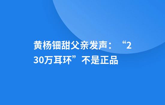 黄杨钿甜父亲发声：“230万耳环”不是正品