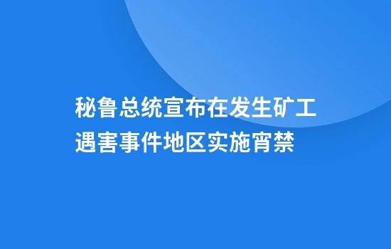 秘鲁总统宣布在发生矿工遇害事件地区实施宵禁