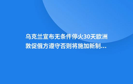 乌克兰宣布无条件停火30天欧洲敦促俄方遵守否则将施加新制裁