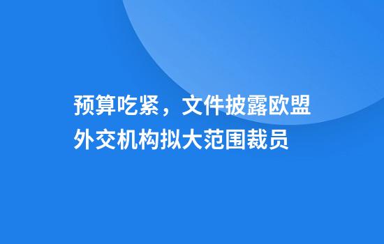 预算吃紧，文件披露欧盟外交机构拟大范围裁员