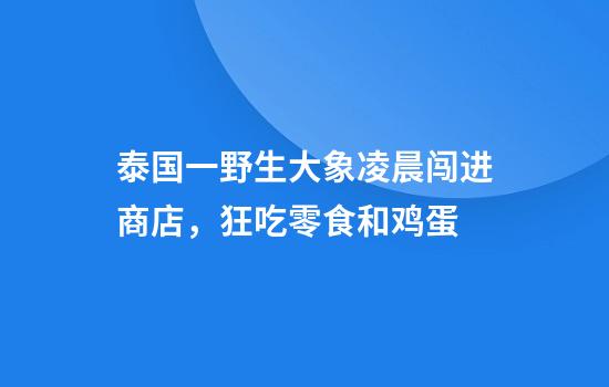 泰国一野生大象凌晨闯进商店，狂吃零食和鸡蛋