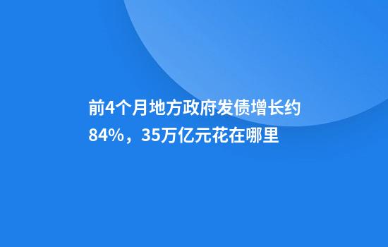 前4个月地方政府发债增长约84%，3.5万亿元花在哪里