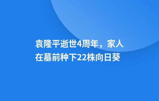 袁隆平逝世4周年，家人在墓前种下22株向日葵