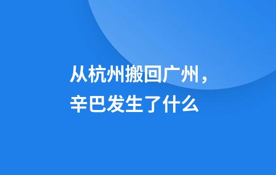 从杭州搬回广州，辛巴发生了什么