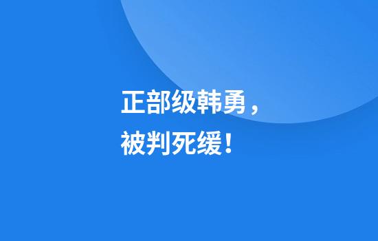 正部级韩勇，被判死缓！