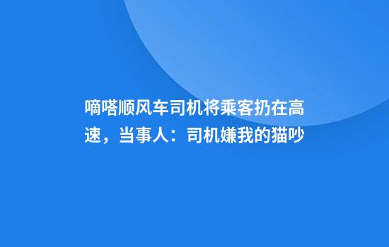 嘀嗒顺风车司机将乘客扔在高速，当事人：司机嫌我的猫吵